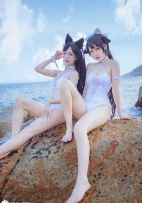 森林里的熊先生在冬眠中免费观看