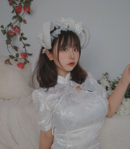 莲花电视剧