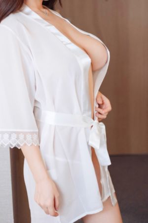 拉布拉多警长